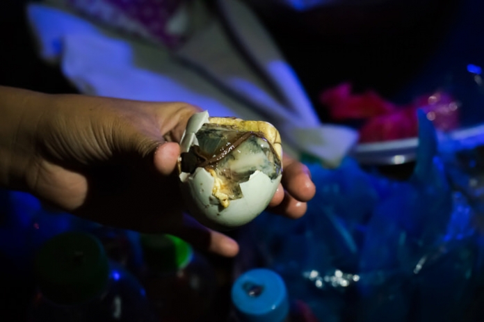 Balut バロット フィリピン留学中の度胸試し的な食べ物 若干グロいです