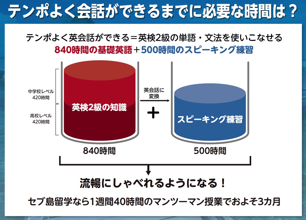 高い品質 留学レベルの英会話力養成DVD 週1レッスン×1年間分 （メール